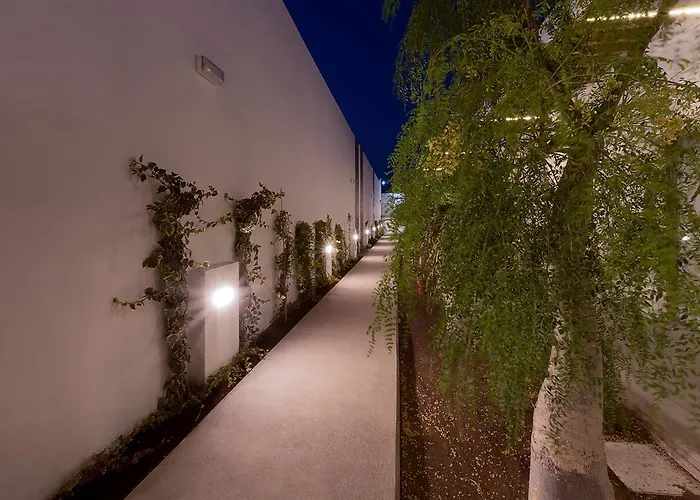 Hotel Silvi By Tam 5*