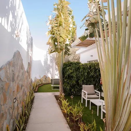 Hotel Silvi By Tam Playa del Ingles (Gran Canaria)