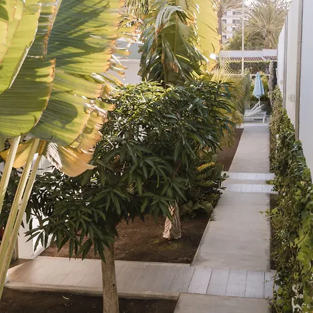 Silvi By Tam Hotel Playa del Ingles (Gran Canaria)