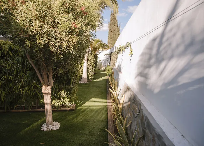 Silvi By Tam Playa del Ingles (Gran Canaria)