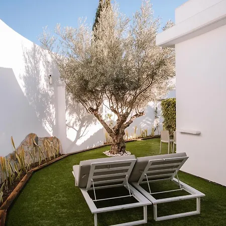 Hotel Silvi By Tam Playa del Inglés