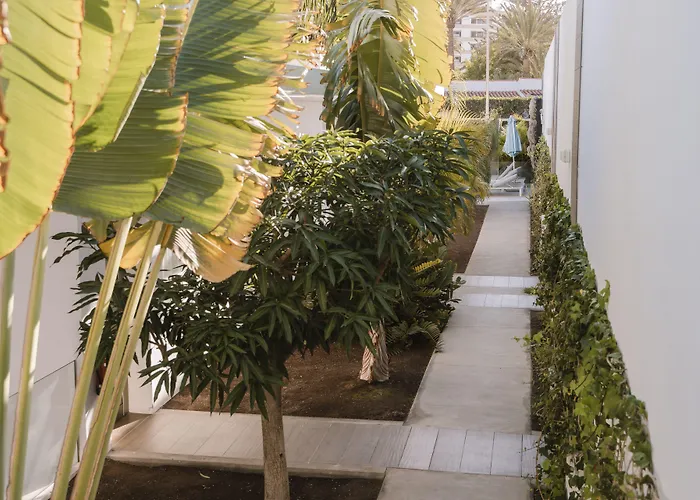 Silvi By Tam Hotel Playa del Ingles (Gran Canaria)